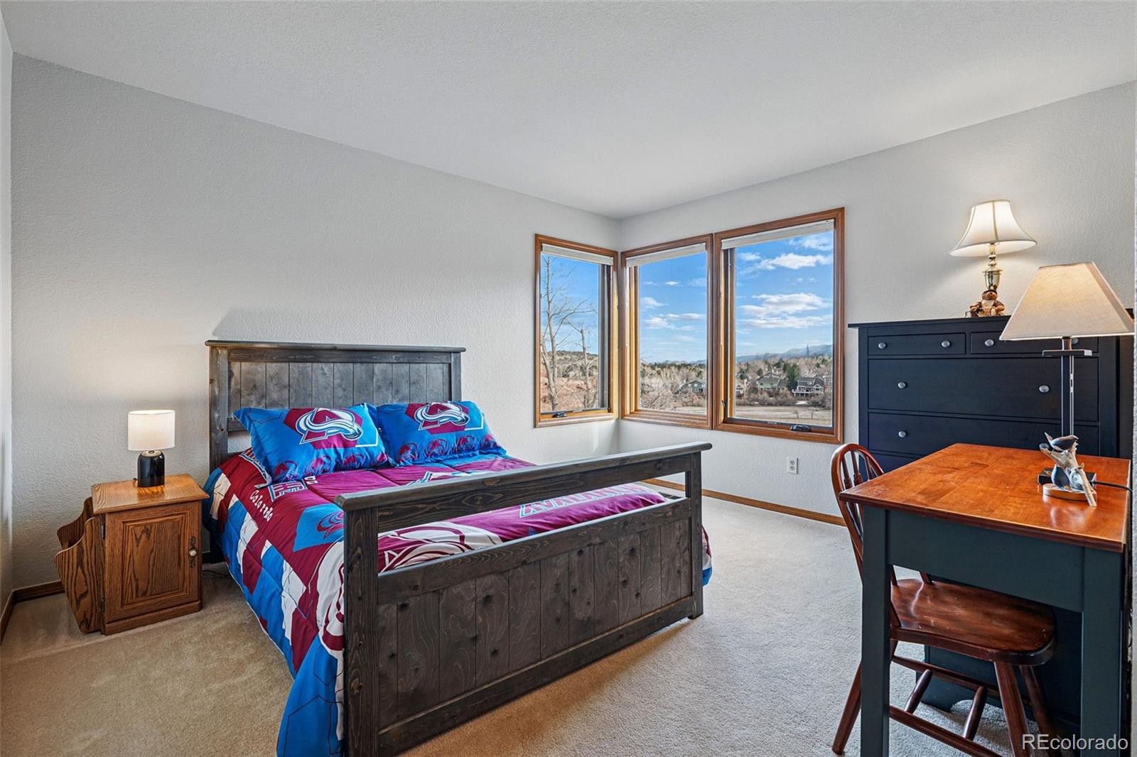 112 Willowleaf Drive Littleton, CO 80127 - Photo 26 of 50