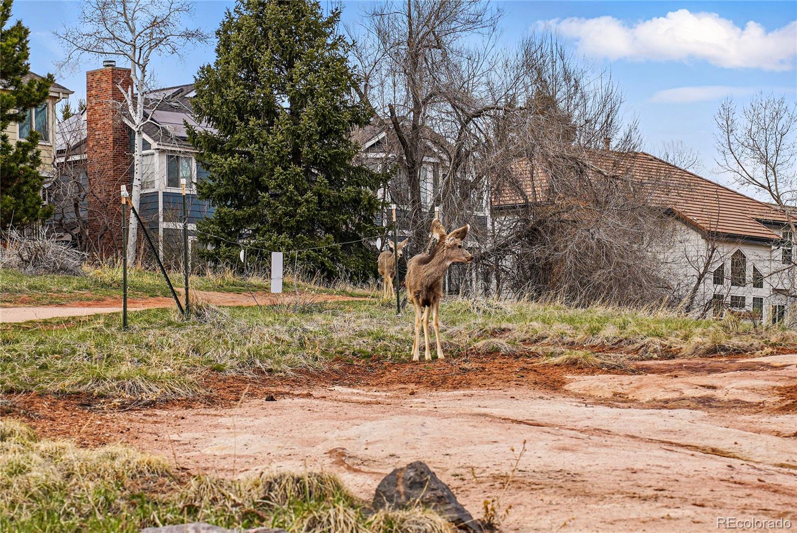 112 Willowleaf Drive Littleton, CO 80127 - Photo 48 of 50