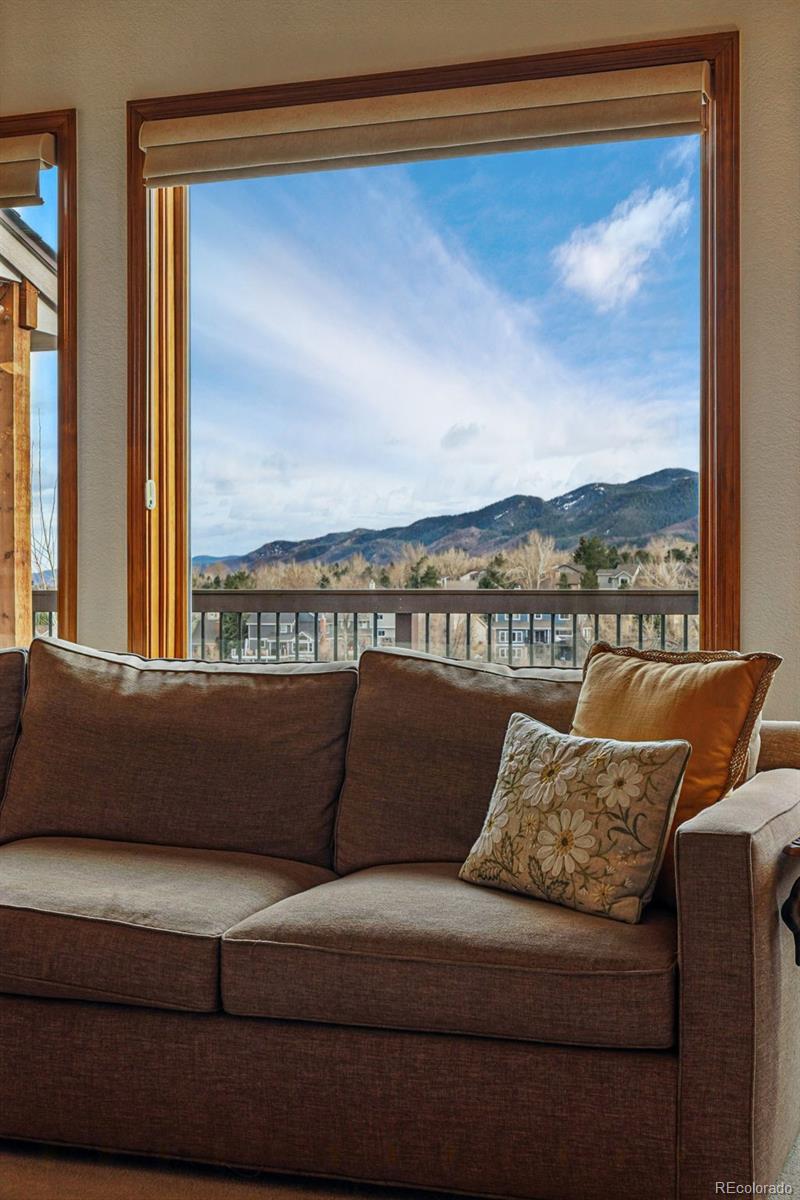 112 Willowleaf Drive Littleton, CO 80127 - Photo 10 of 50