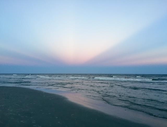 237 Cloverleaf Drive Longs, SC 29568 - Photo 34 of 34