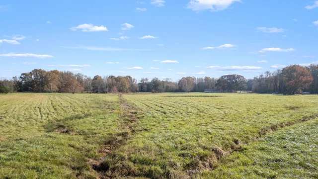a view of a lake with a yard and mountain view