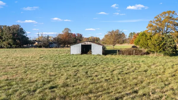 a picture of a yard