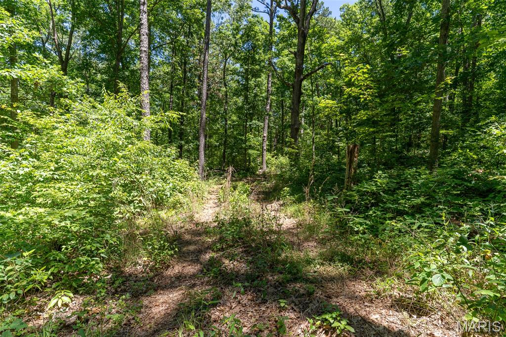 0 Lodge Road Bourbon, MO 65441 - Photo 14 of 18