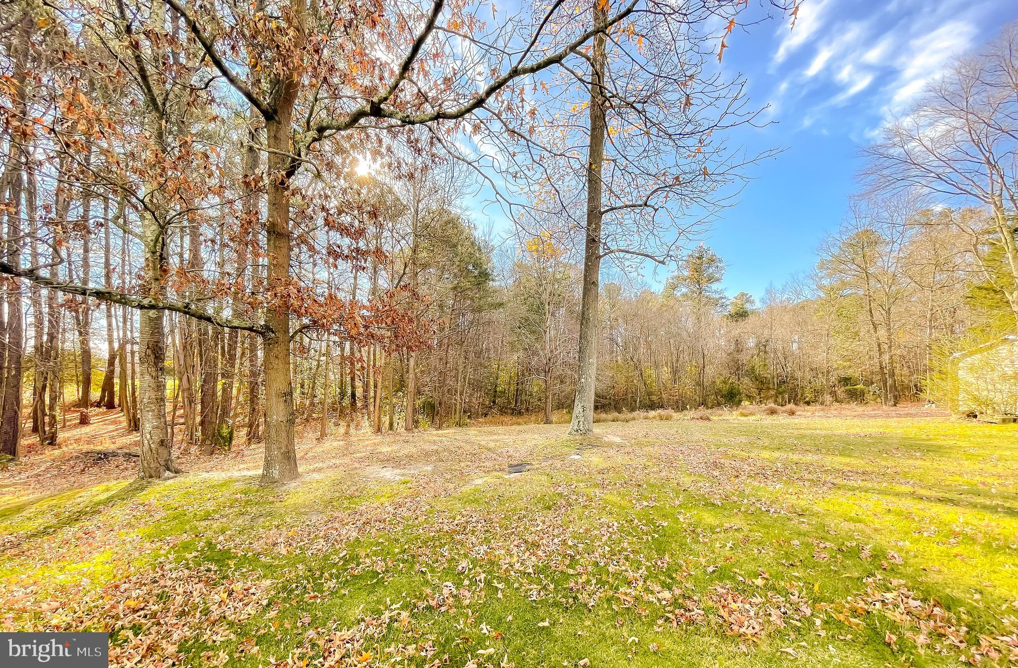 40325 Busy Corner Road Leonardtown, MD 20650 - Photo 32 of 33 Yard
