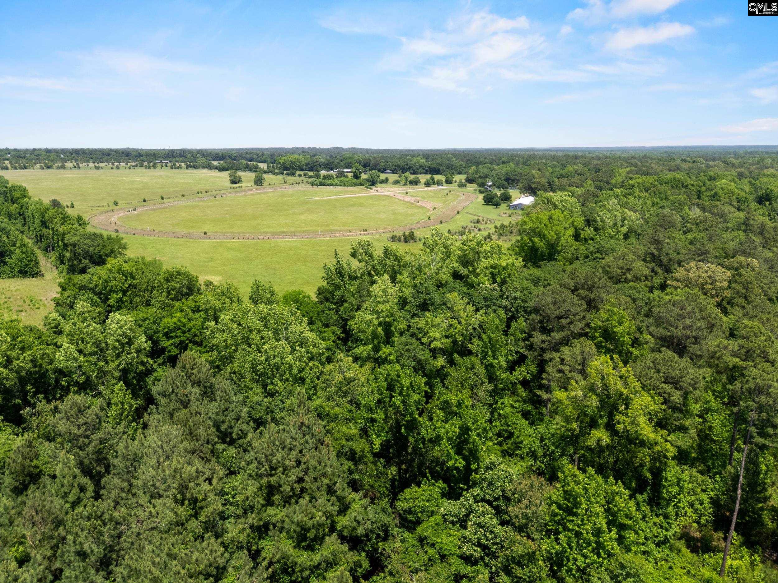 377 Sweet Street Rembert, SC 29128 - Photo 2 of 20