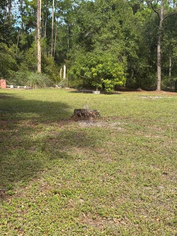 415 North Verda Street Clewiston, FL 33440 - Photo 3 of 7 a view of a field with an trees