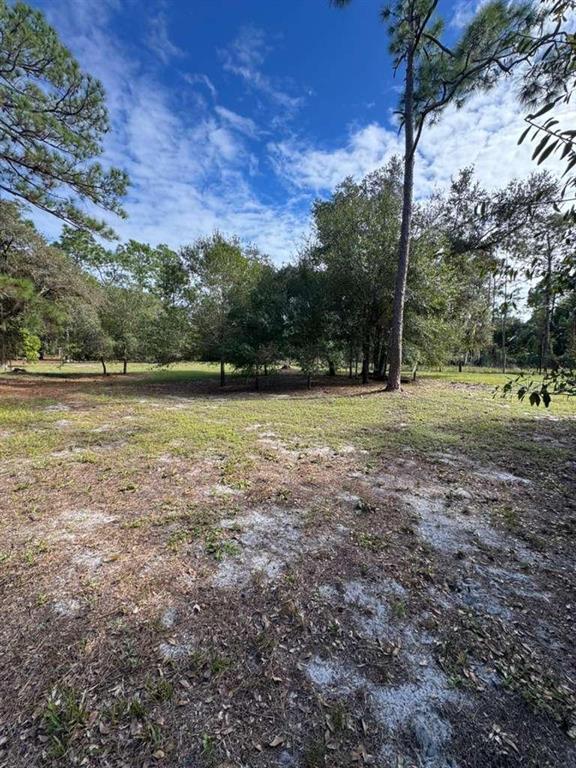 415 North Verda Street Clewiston, FL 33440 - Photo 6 of 7 a view of outdoor space with deck and yard