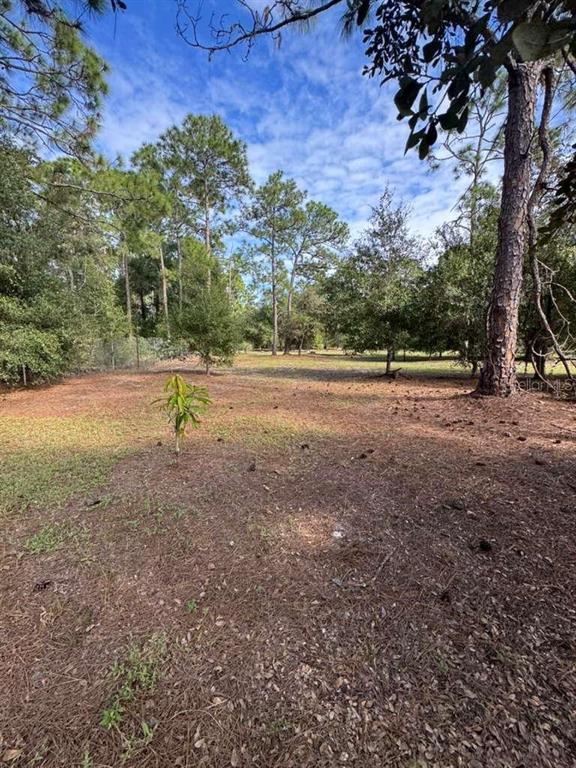 415 North Verda Street Clewiston, FL 33440 - Photo 7 of 7 a view of outdoor space with trees
