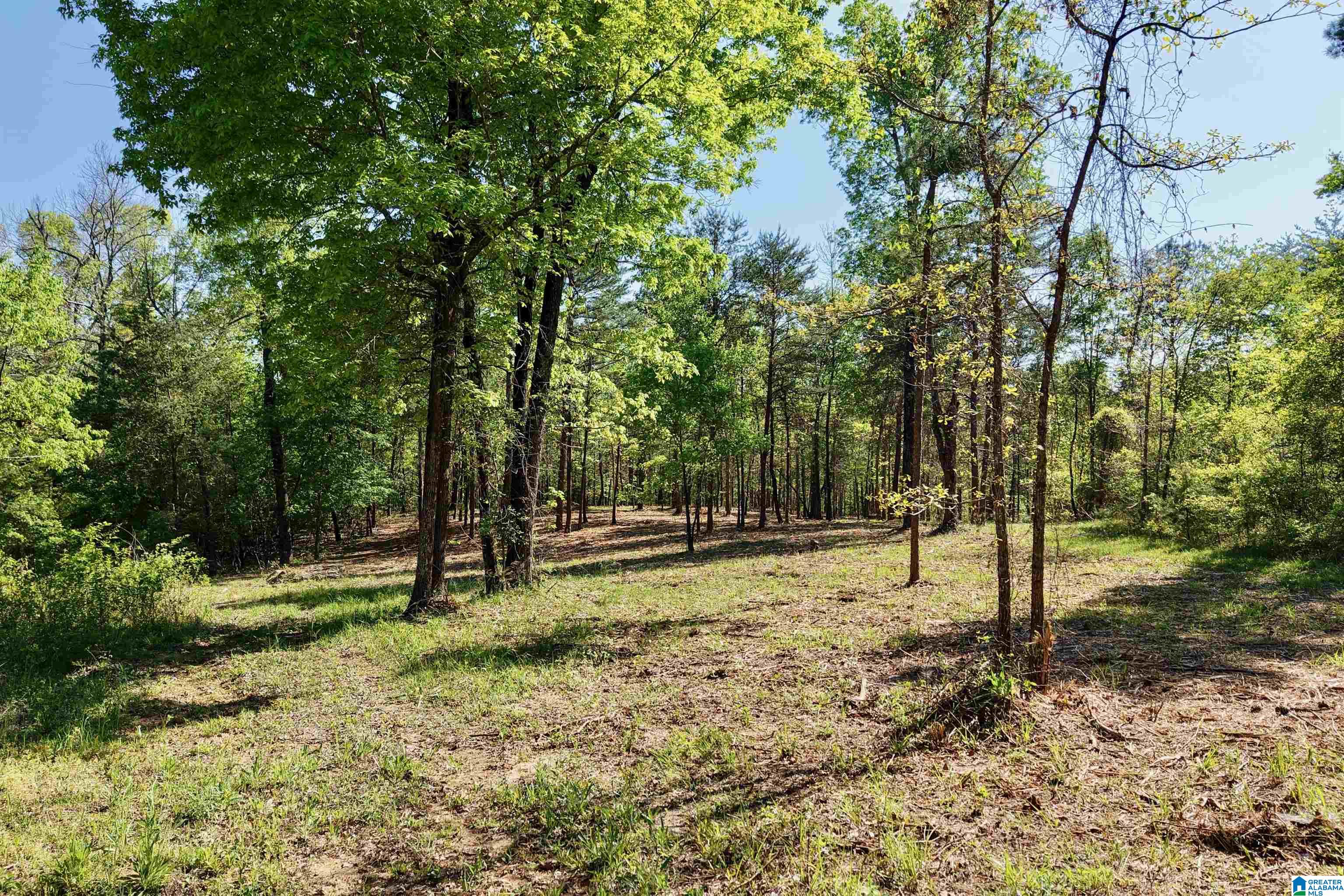 246 Spring Water Farms, Unit 2 Helena, AL 35022 - Photo 7 of 25
