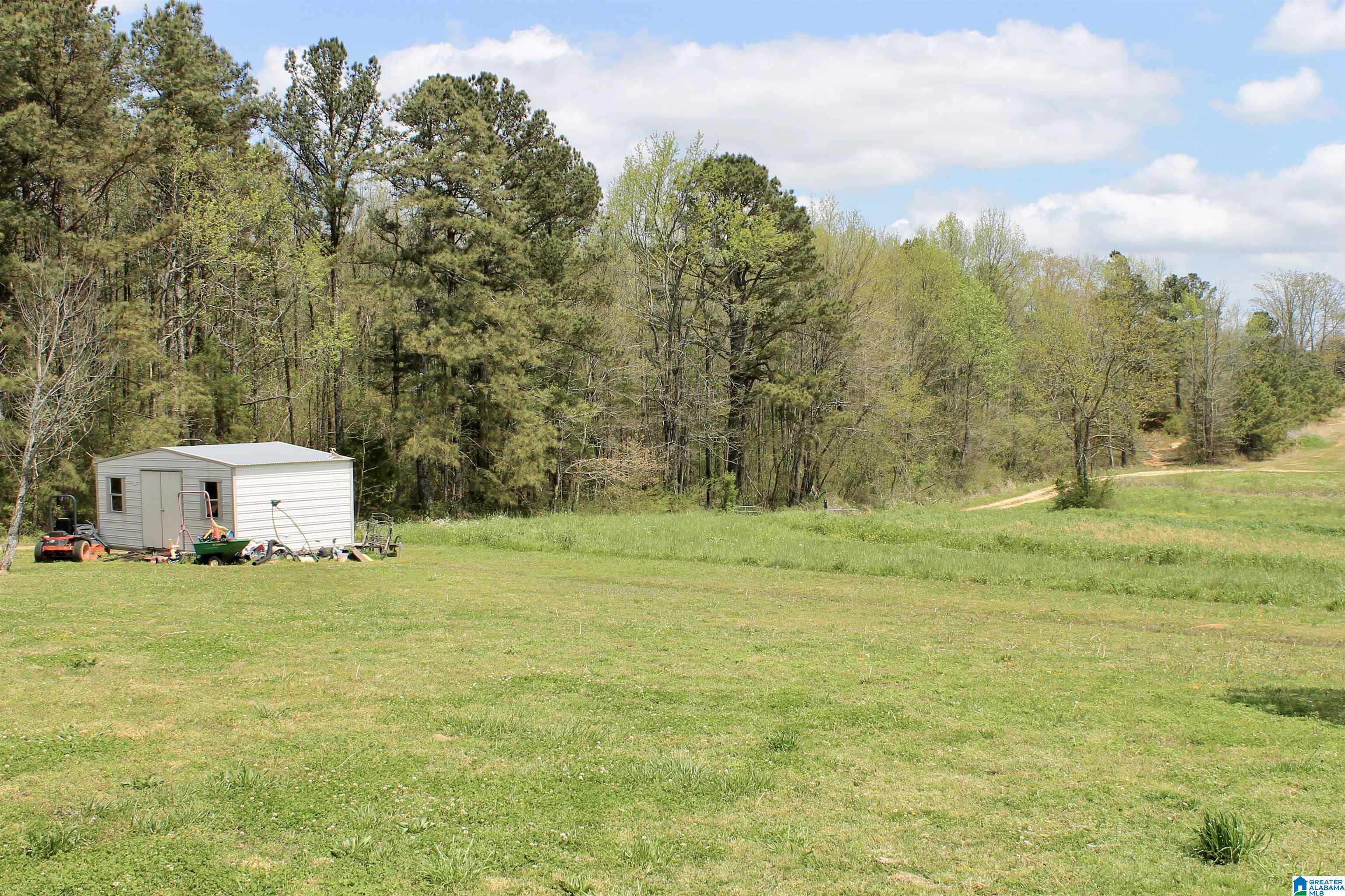 235 Lake Road Steele, AL 35987 - Photo 20 of 23