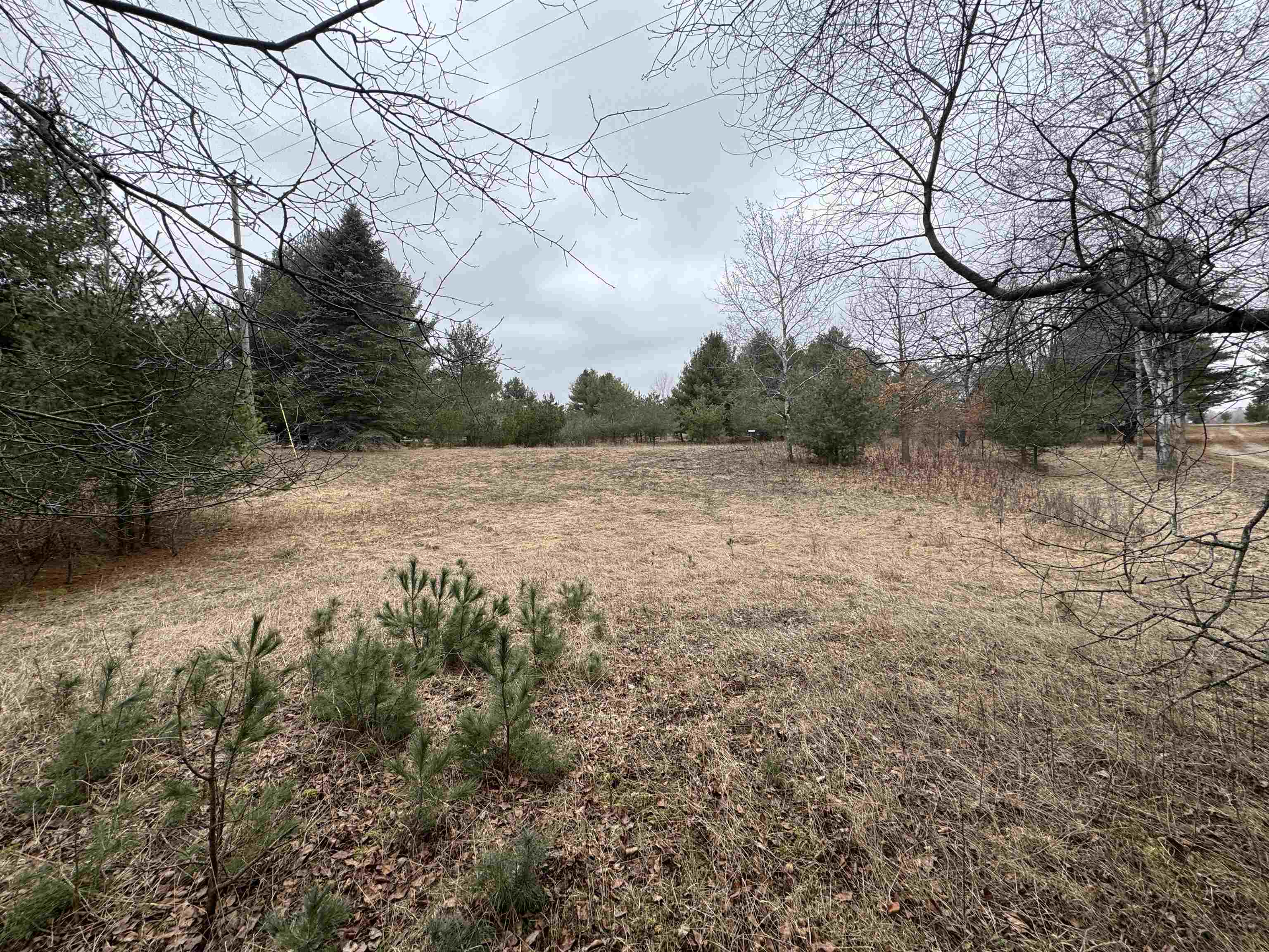 Mill Site Road Hersey, MI 49639 - Photo 7 of 8