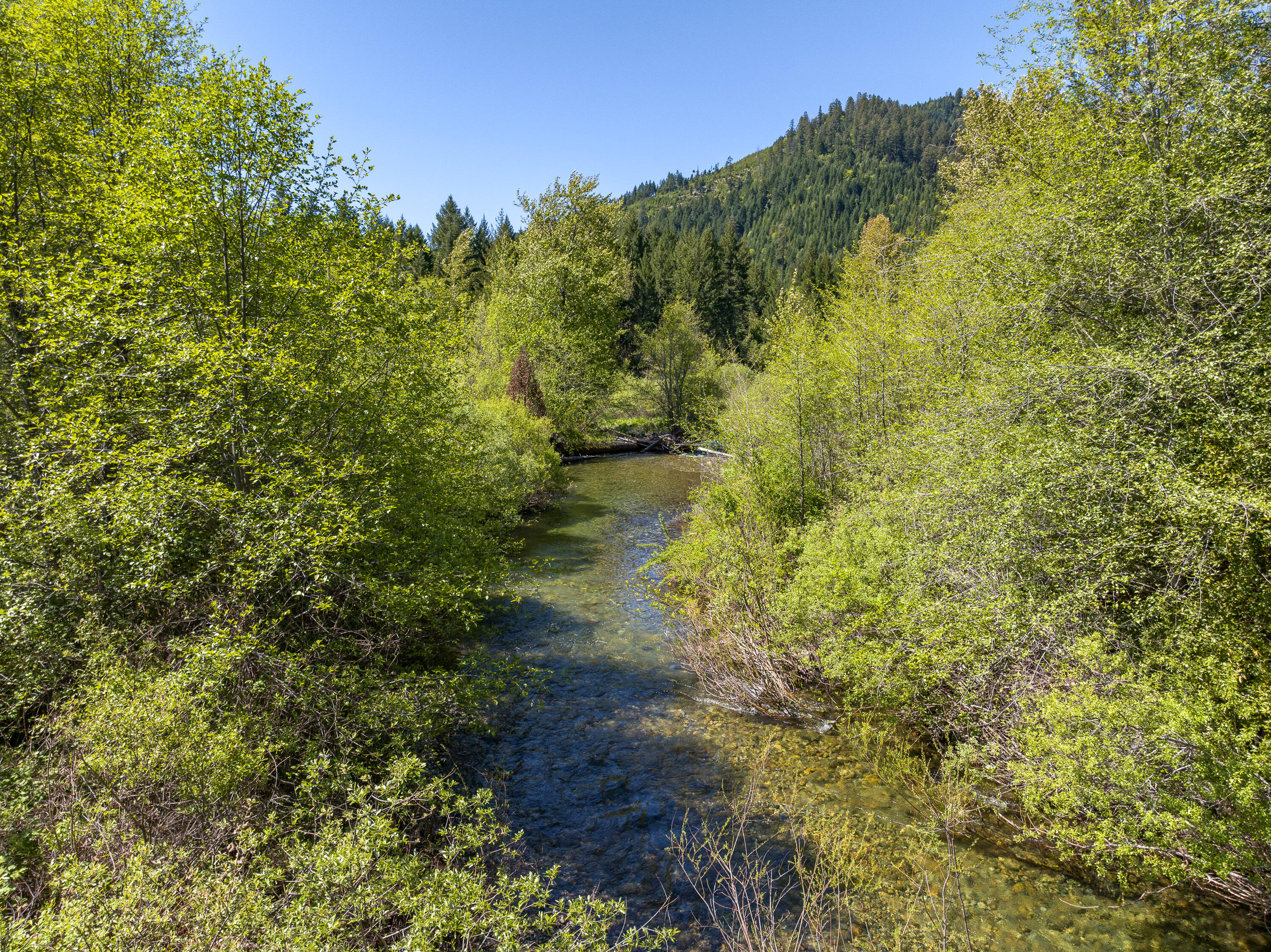 8501 Deer Creek Road Selma, OR 97538 - Photo 68 of 74