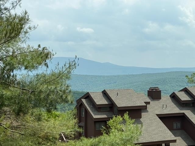 146 Ridges Way, Unit 12001 Peru, VT 05152 - Photo 30 of 31