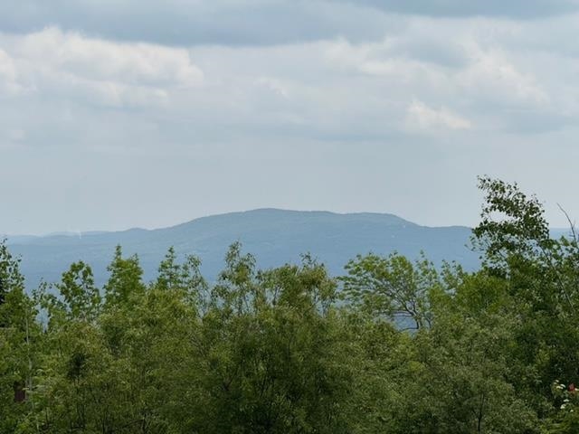 146 Ridges Way, Unit 12001 Peru, VT 05152 - Photo 5 of 31