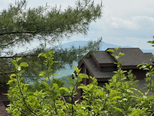 146 Ridges Way, Unit 12001 Peru, VT 05152 - Photo 7 of 31