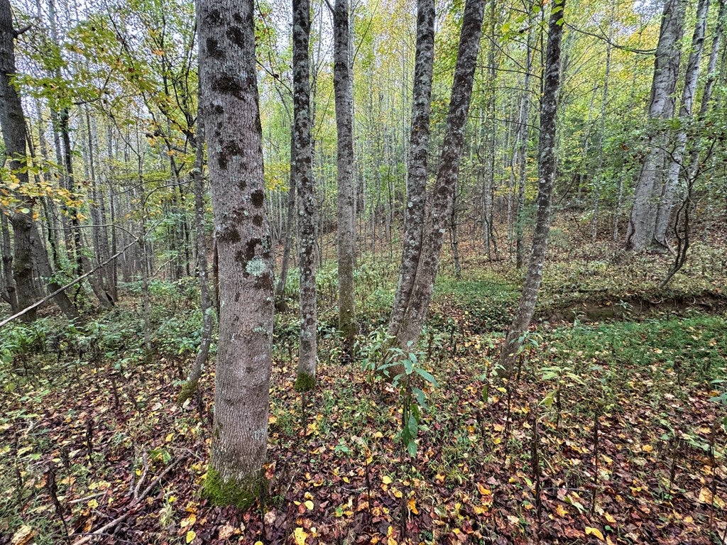 Tbd Soap Ridge Road Dugspur, VA 24325 - Photo 11 of 18 Gallery Image 11
