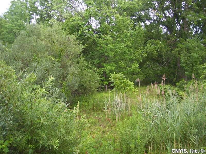 1 Brickyard Falls Road Manlius, NY 13104 - Photo 8 of 10 Gallery Image 8