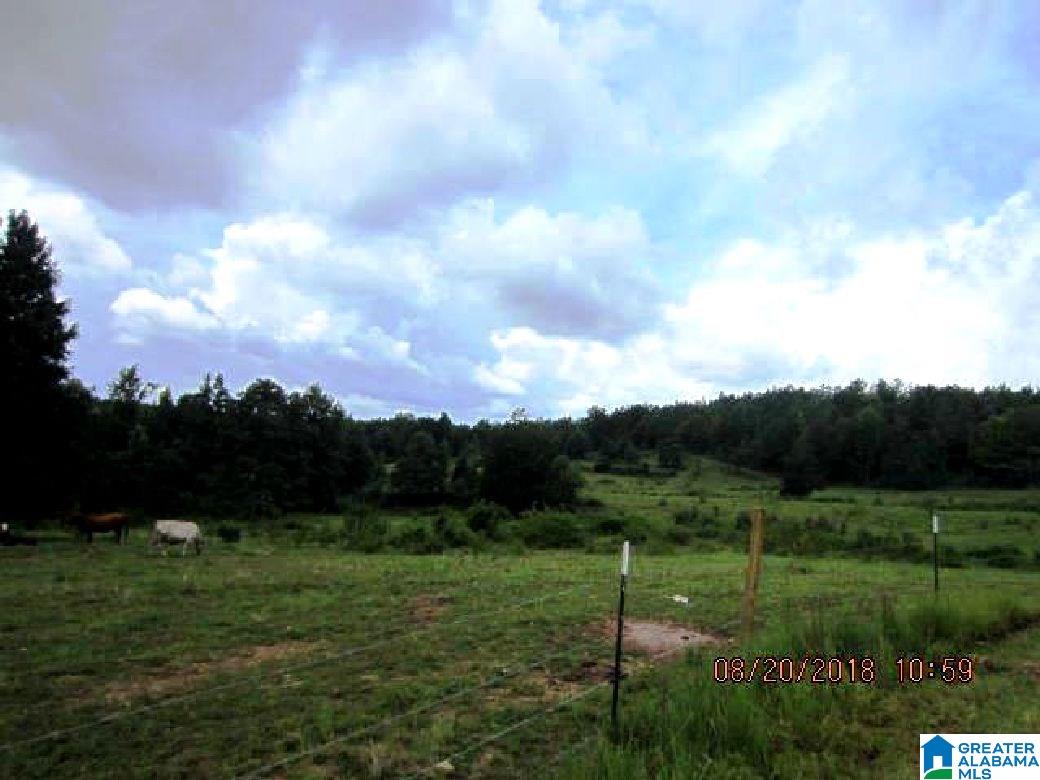 796 Alawashky Road, Unit 46 ACRES Ashland, AL 36251 - Photo 13 of 17