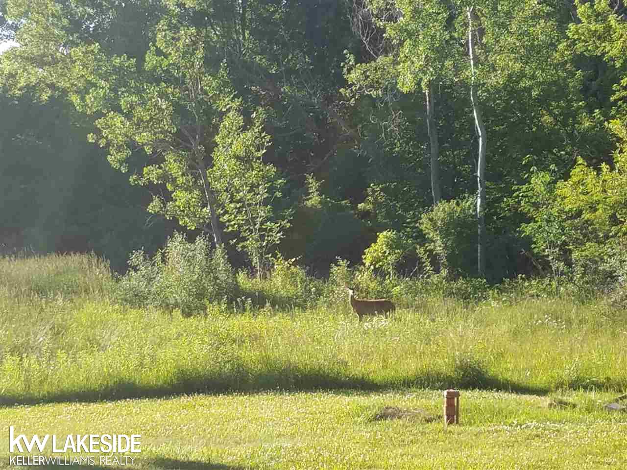 13410 Foley Road Emmett, MI 48022 - Photo 4 of 25