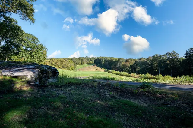 a view of a grassy field with trees around