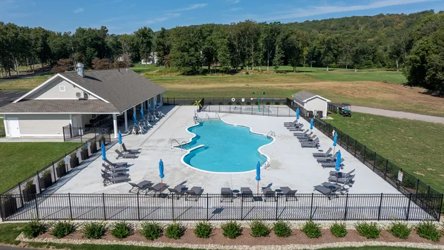 a view of a swimming pool with a yard and plants