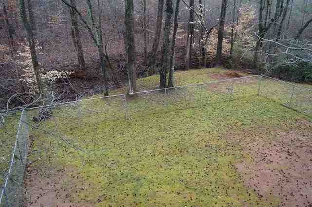 411 Dalton Road Seneca, SC 29678 - Photo 23 of 23 Gallery Image 23