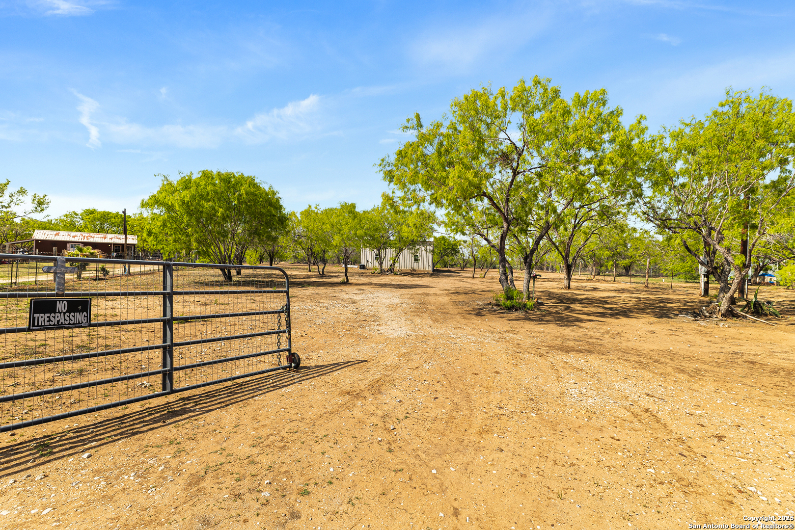 128 County Road 2672 Devine, TX 78016 - Photo 4 of 44 a view of a yard