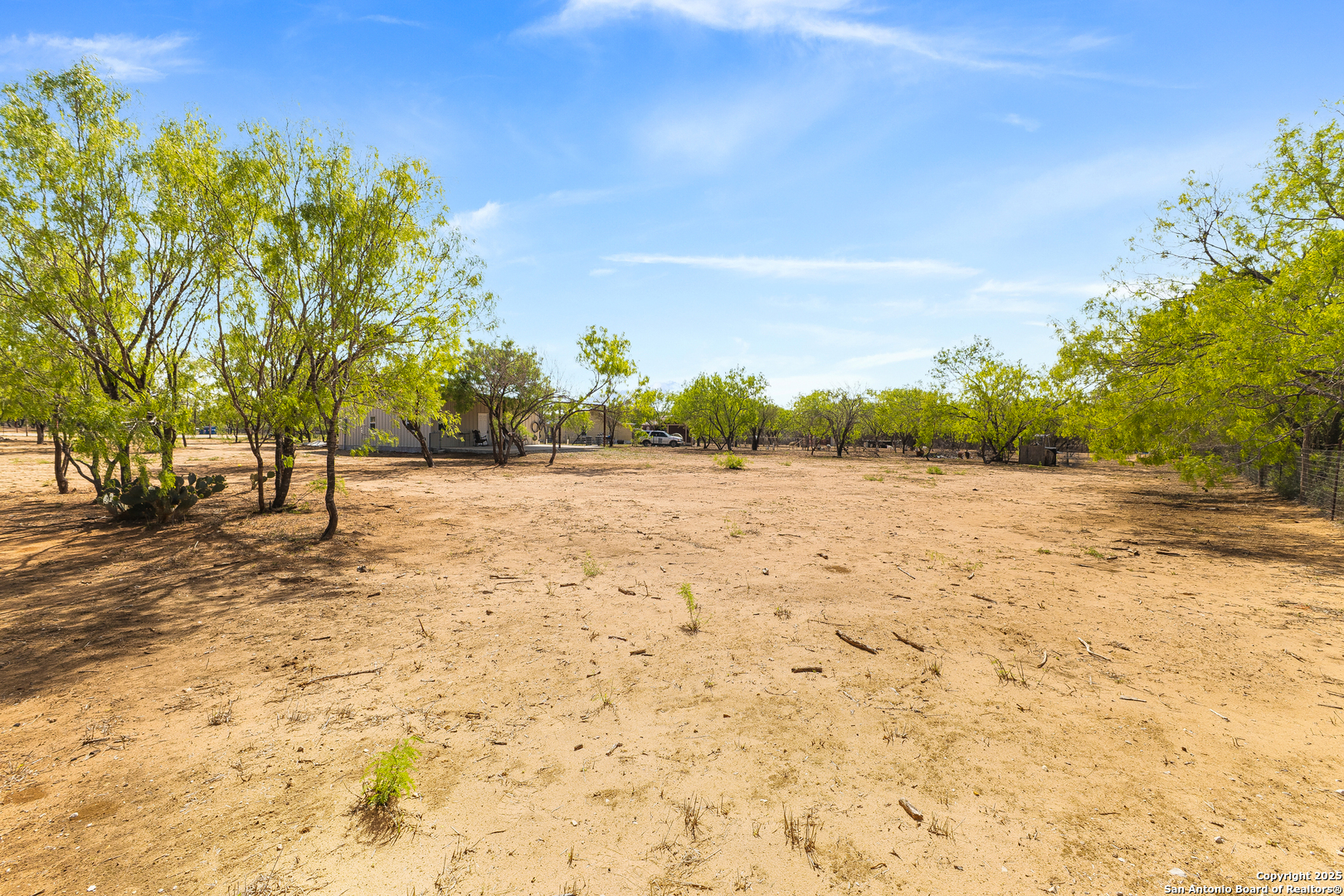 128 County Road 2672 Devine, TX 78016 - Photo 8 of 44 a view of yard