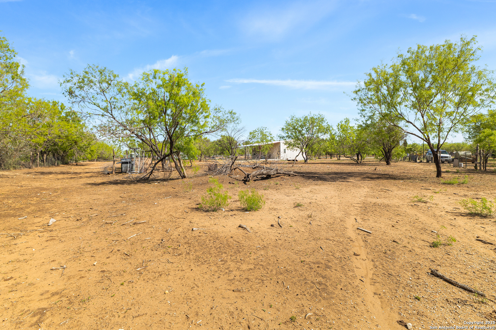 128 County Road 2672 Devine, TX 78016 - Photo 9 of 44 a view of yard with green space