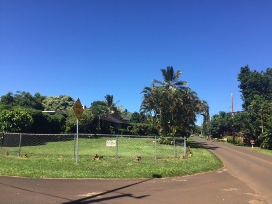 4161 Omao Road Koloa, HI 96756 - Photo 1 of 22 a backyard of a house with lots of green space
