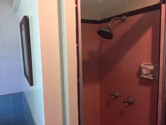 4161 Omao Road Koloa, HI 96756 - Photo 18 of 22 a bathroom with a shower