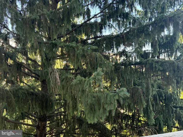 a view of a small space with wooden floor and a pot