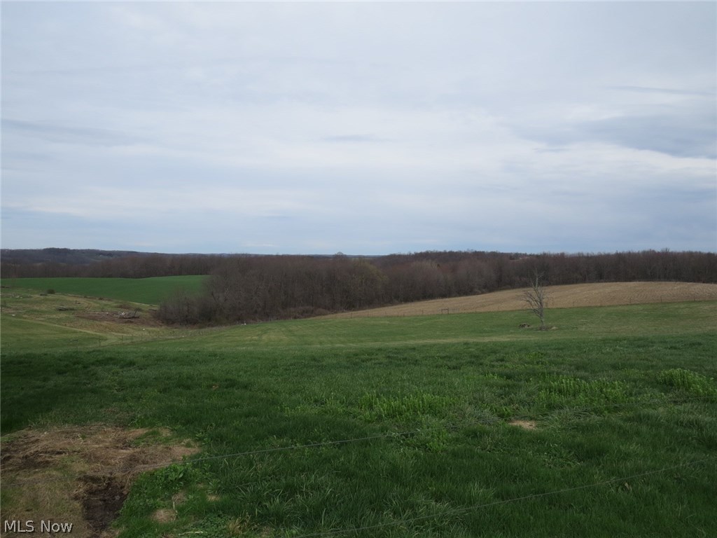 205 Spring Road Minerva, OH 44657 - Photo 12 of 30 Gallery Image 12