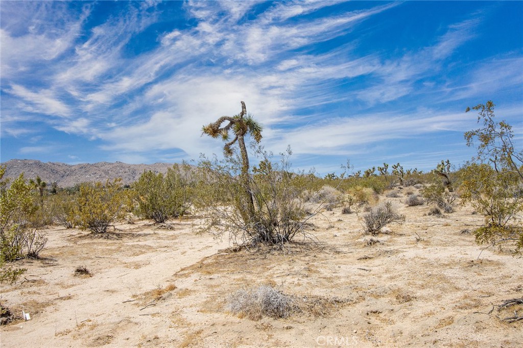 6563 Saddleback Road Joshua Tree, CA 92252 - Photo 12 of 17