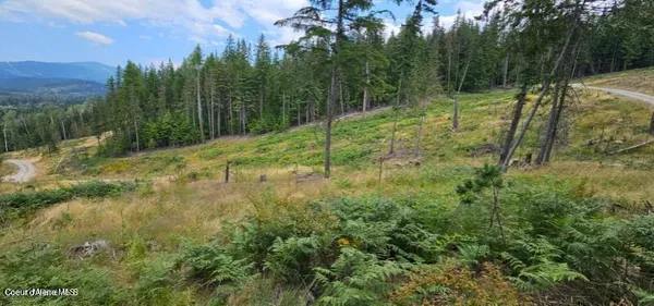 $98,000 | Lot 2 Of The Replat Of, Kingston, ID 83839
