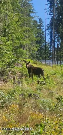 $98,000 | Lot 2 Of The Replat Of, Kingston, ID 83839