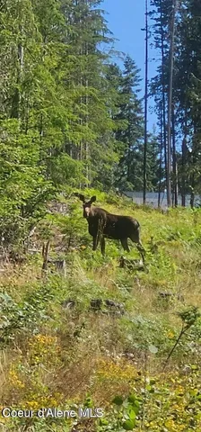 $98,000 | Lot 2 Of The Replat Of, Kingston, ID 83839