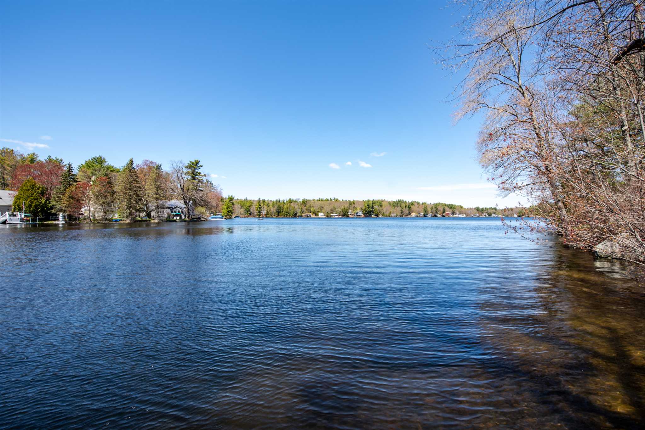 6 North River Lake Road East Nottingham, NH 03290 - Photo 2 of 40 Gallery Image 2