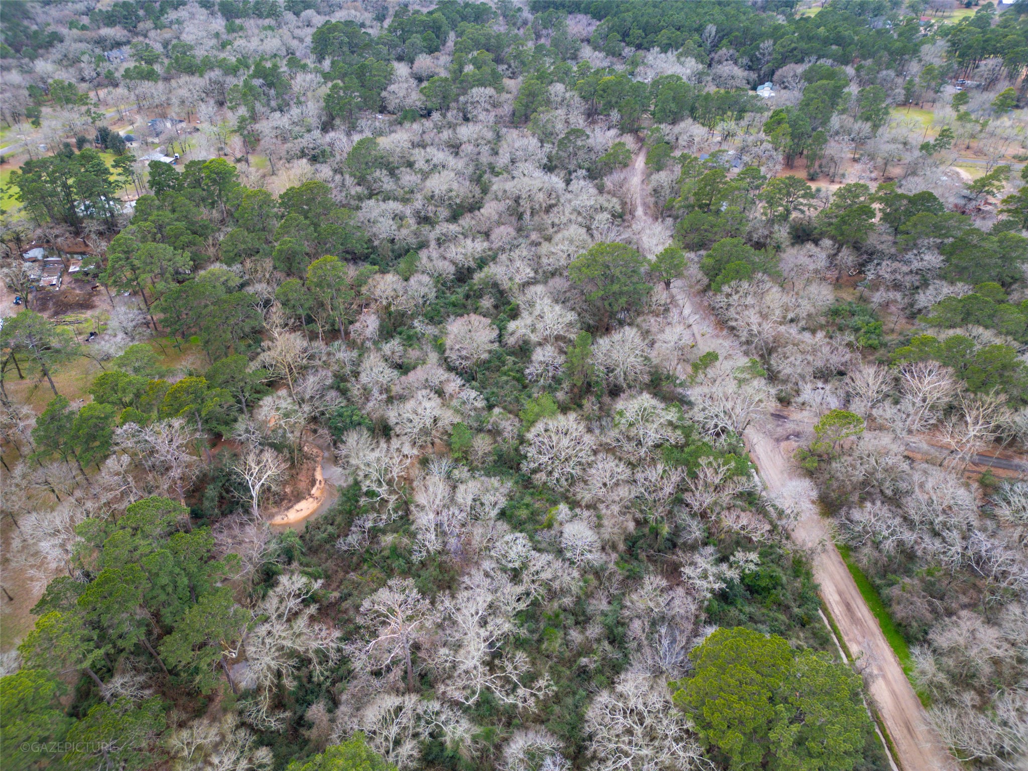 25415 North Clear Creek Road Hockley, TX 77447 - Photo 7 of 7 a view of a forest with a forest
