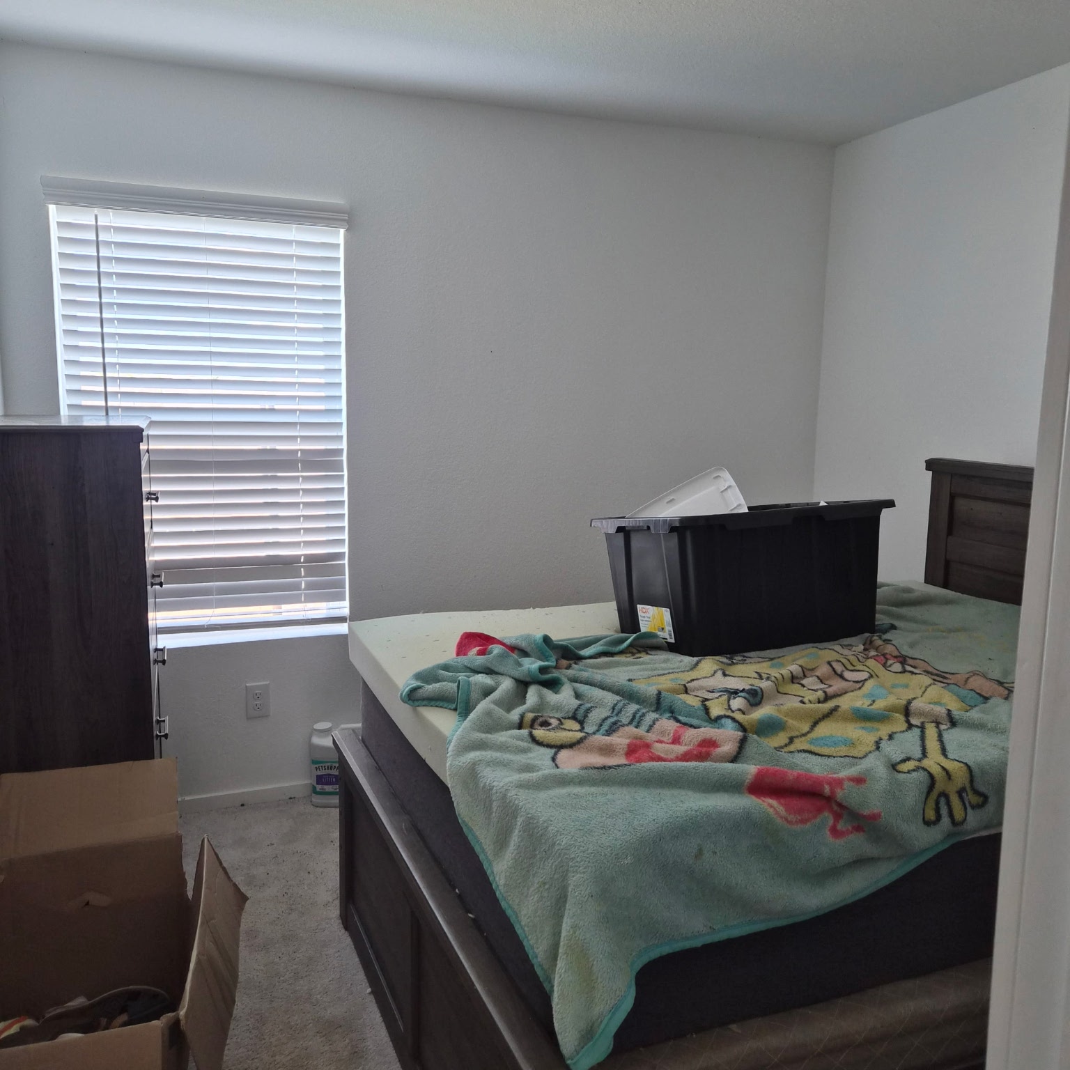 1723 Windrose Bend Angleton, TX 77515 - Photo 14 of 16 a bedroom with a bed and a window