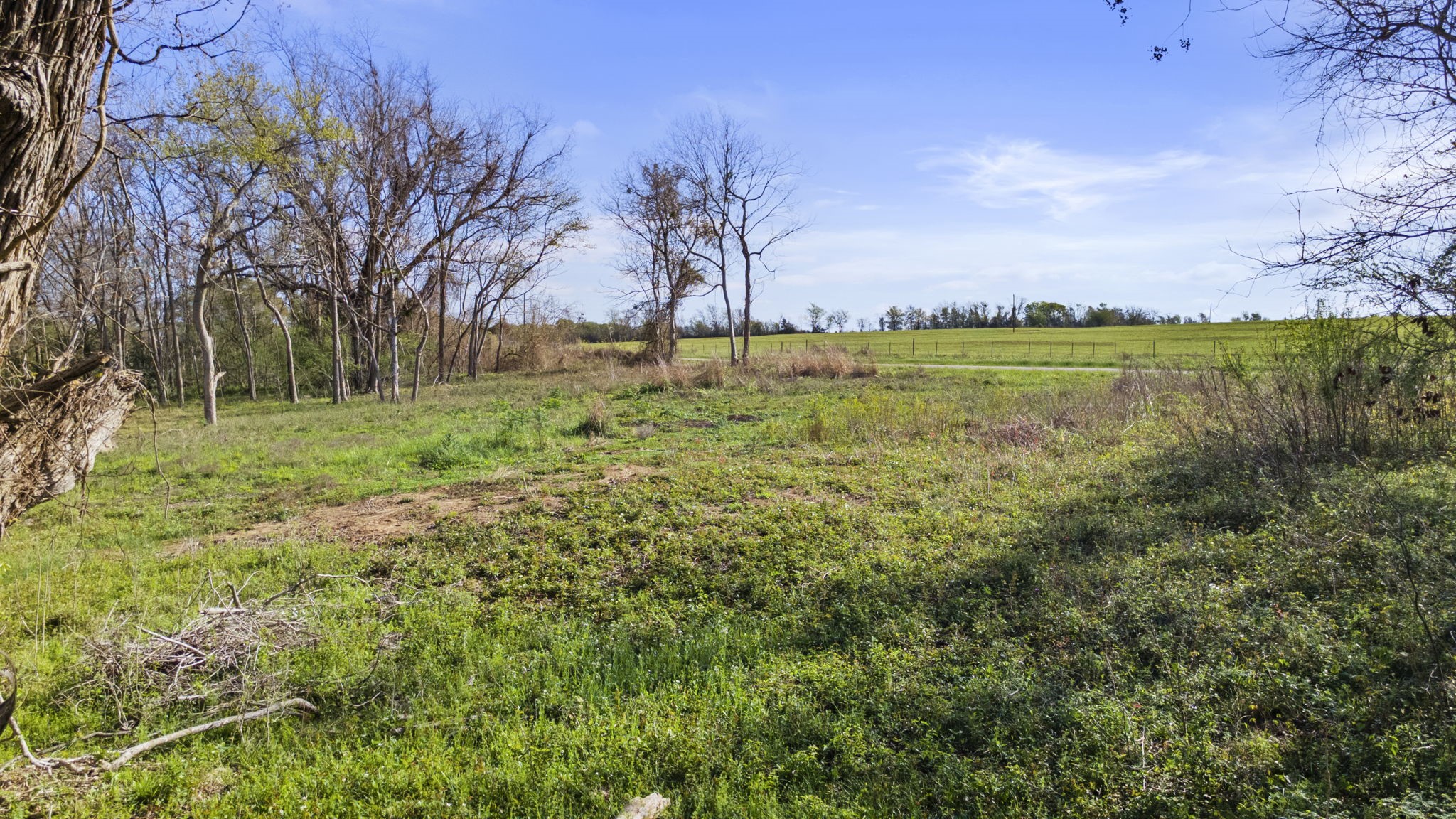 3979 Felder Road Washington, TX 77880 - Photo 4 of 14