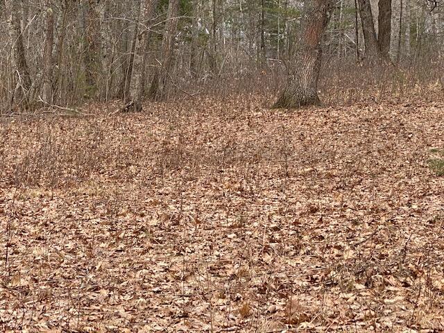 0 Academy Hill Road Newcastle, ME 04553 - Photo 14 of 14 IMG_2948