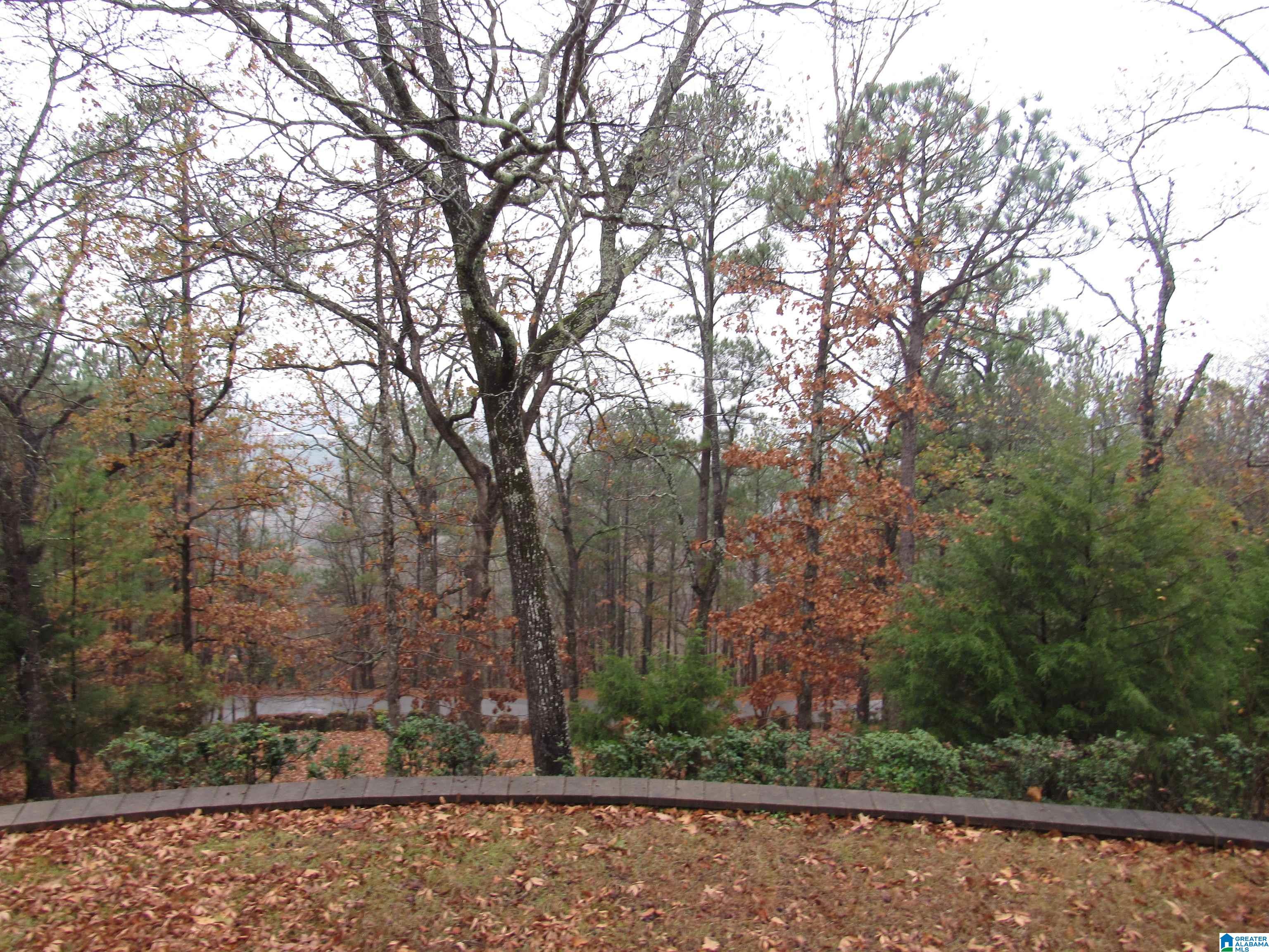 207 Kings Crest Lane Pelham, AL 35124 - Photo 5 of 39