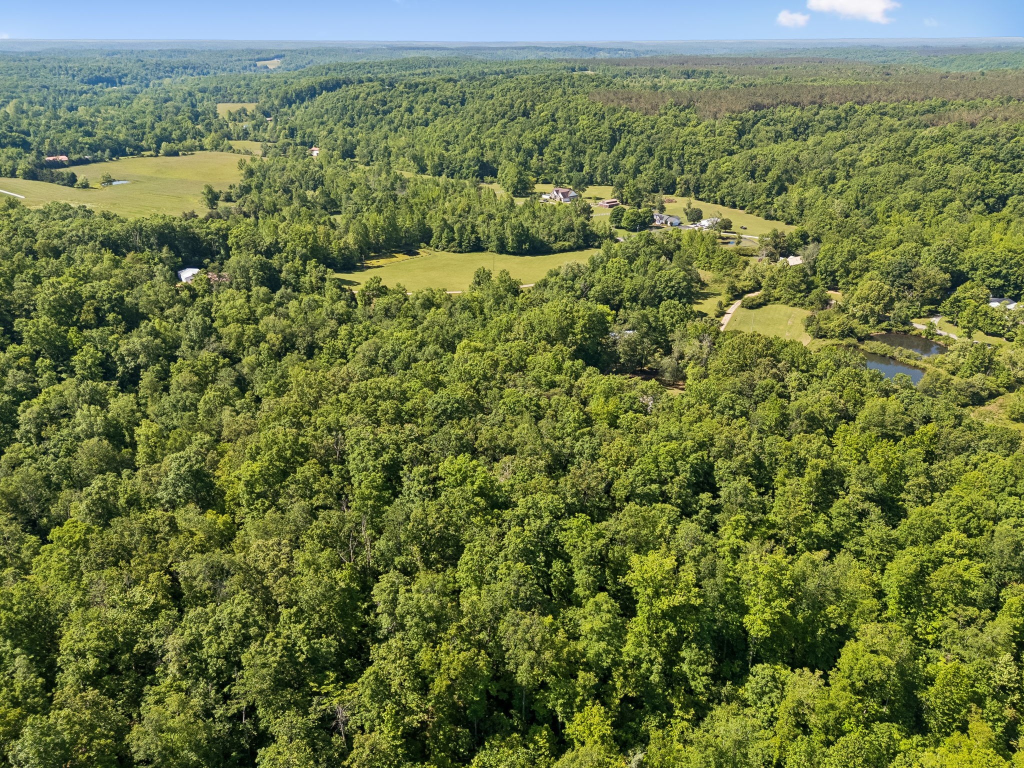 619 Longbranch Road Hohenwald, TN 38462 - Photo 76 of 82 Gallery Image 76