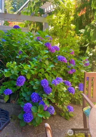 $560,000 | 4156 248th Court Southeast, Unit 67, Sammamish, WA 98029