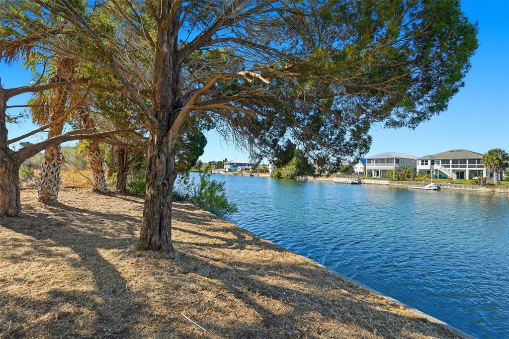 0 Holly Springs Drive Hernando Beach, FL 34607 - Photo 7 of 21