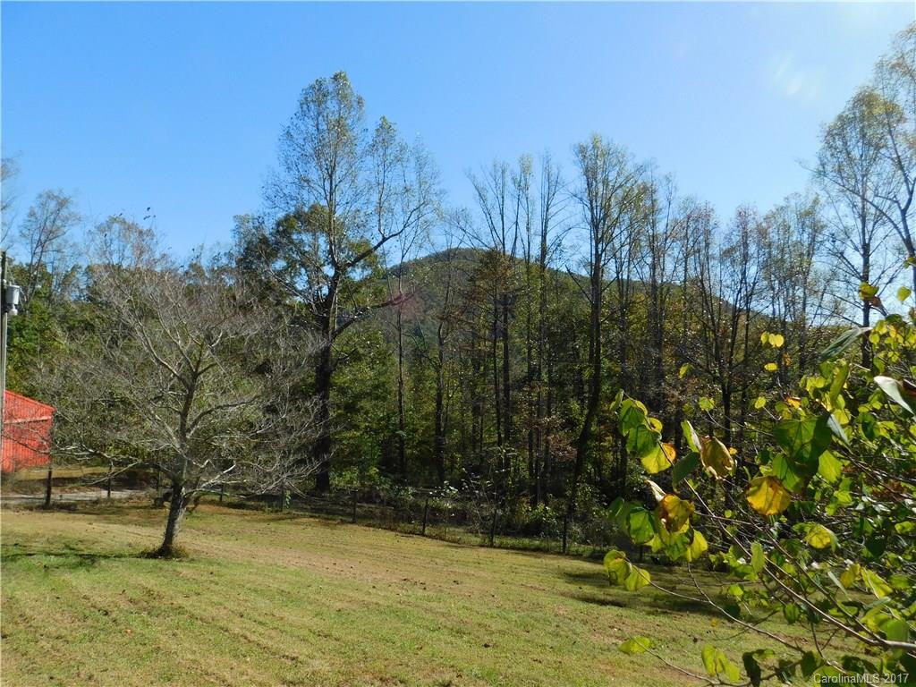 466 Slick Rock Road Hendersonville, NC 28792 - Photo 19 of 24 Gallery Image 19