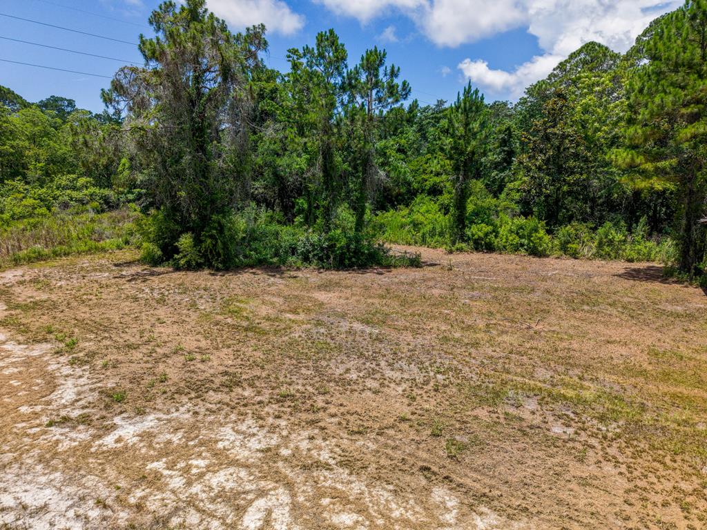 1103 Copacetic Road Carrabelle, FL 32322 - Photo 1 of 10