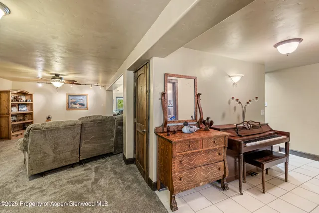 a view of a garden with plants and large trees