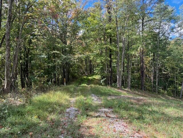 23875 Mathias Road South Bloomingville, OH 43152 - Photo 63 of 89 thumbnail_IMG_8923